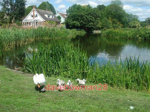 Photo river stour - , nayland